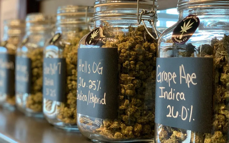 Cured flower in glass apothecary jars, each chalk-labelled with its strain and potency
